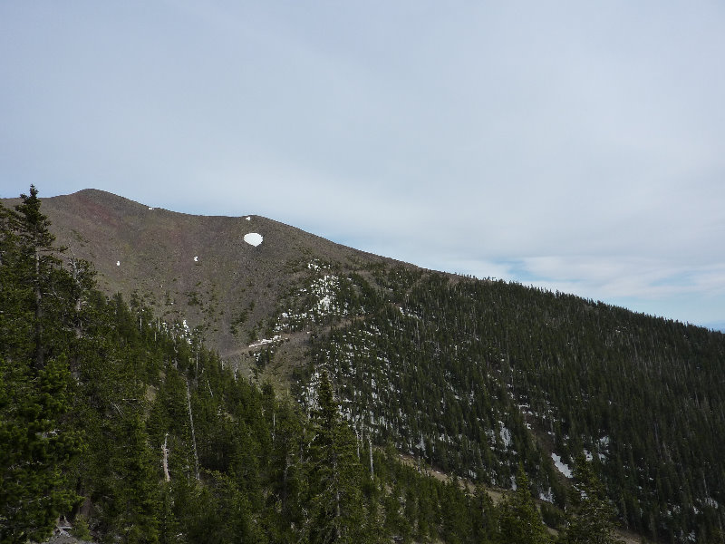 Kachina-Peaks-Wilderness-Coconino-National-Forest-AZ-029