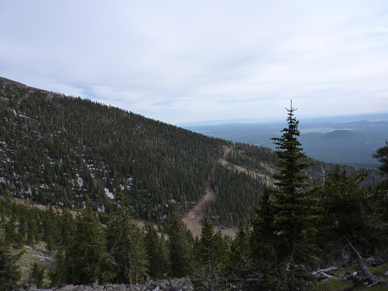 Kachina-Peaks-Wilderness-Coconino-National-Forest-AZ-030