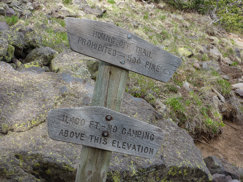 Kachina-Peaks-Wilderness-Coconino-National-Forest-AZ-031