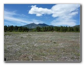 Kachina-Peaks-Wilderness-Coconino-National-Forest-AZ-001