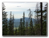 Kachina-Peaks-Wilderness-Coconino-National-Forest-AZ-009