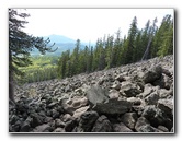 Kachina-Peaks-Wilderness-Coconino-National-Forest-AZ-011