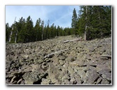 Kachina-Peaks-Wilderness-Coconino-National-Forest-AZ-017