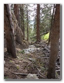 Kachina-Peaks-Wilderness-Coconino-National-Forest-AZ-019