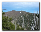 Kachina-Peaks-Wilderness-Coconino-National-Forest-AZ-027