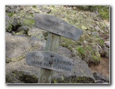 Kachina-Peaks-Wilderness-Coconino-National-Forest-AZ-031