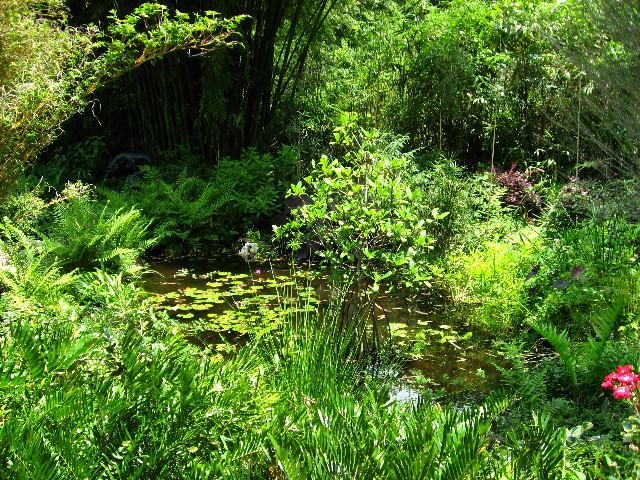 Kanapaha-Botanical-Gardens-004