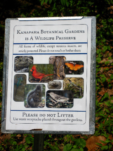 Kanapaha-Botanical-Gardens-015