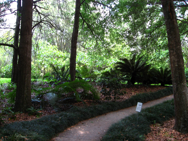 Kanapaha-Botanical-Gardens-027