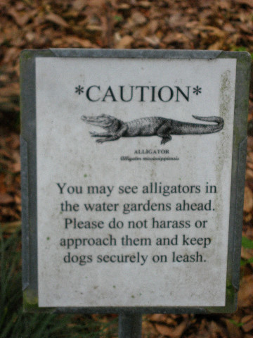 Kanapaha-Botanical-Gardens-028