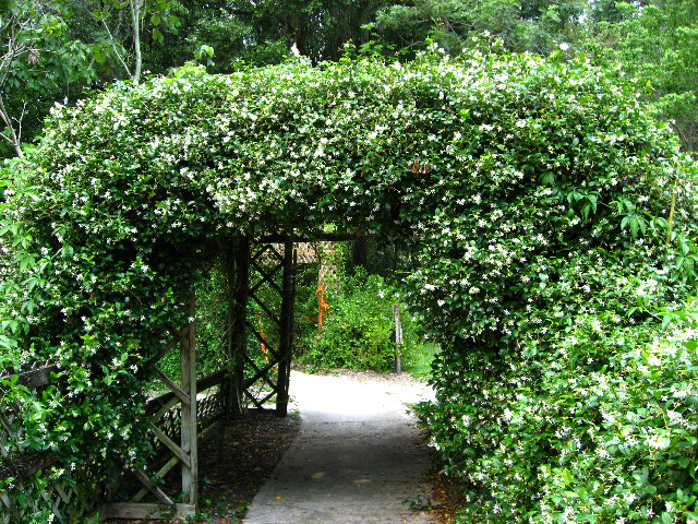 Kanapaha-Botanical-Gardens-102