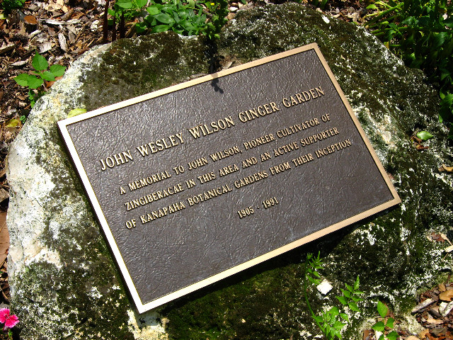 Kanapaha-Botanical-Gardens-112