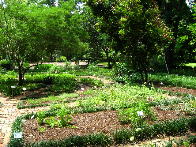 Kanapaha-Botanical-Gardens-116