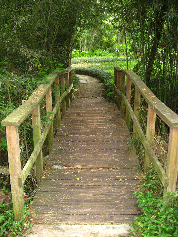 Kanapaha-Botanical-Gardens-129