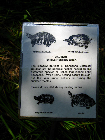 Kanapaha-Botanical-Gardens-140