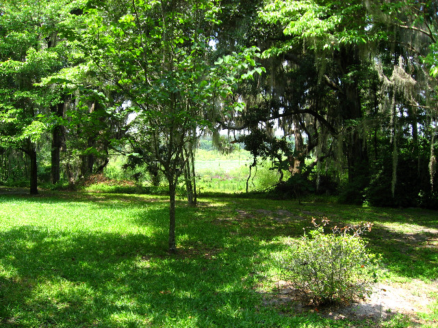 Kanapaha-Botanical-Gardens-141