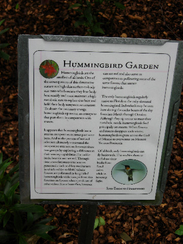 Kanapaha-Botanical-Gardens-144