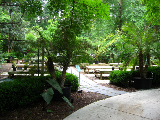 Kanapaha-Botanical-Gardens-183