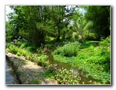 Kanapaha-Botanical-Gardens-057