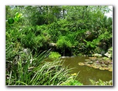 Kanapaha-Botanical-Gardens-061
