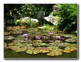Kanapaha-Botanical-Gardens-062