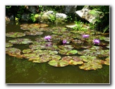 Kanapaha-Botanical-Gardens-064