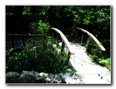 Kanapaha-Botanical-Gardens-067