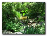 Kanapaha-Botanical-Gardens-068
