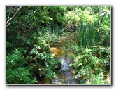 Kanapaha-Botanical-Gardens-069