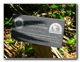 Kanapaha-Botanical-Gardens-074