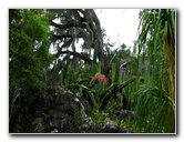 Kanapaha-Botanical-Gardens-171