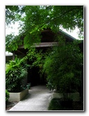 Kanapaha-Botanical-Gardens-184