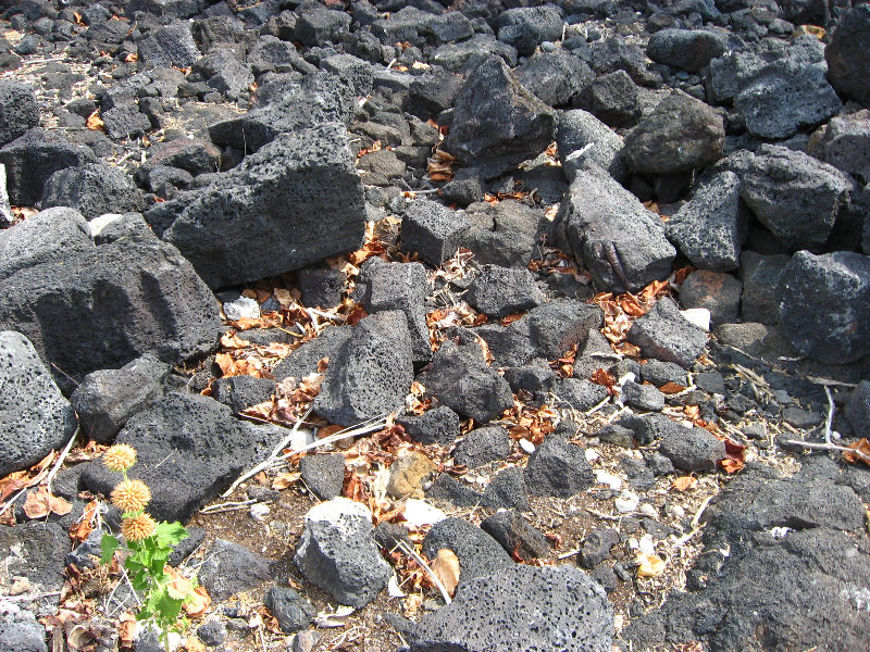 Kekaha-Kai-State-Park-Kona-Coast-Big-Island-Hawaii-037