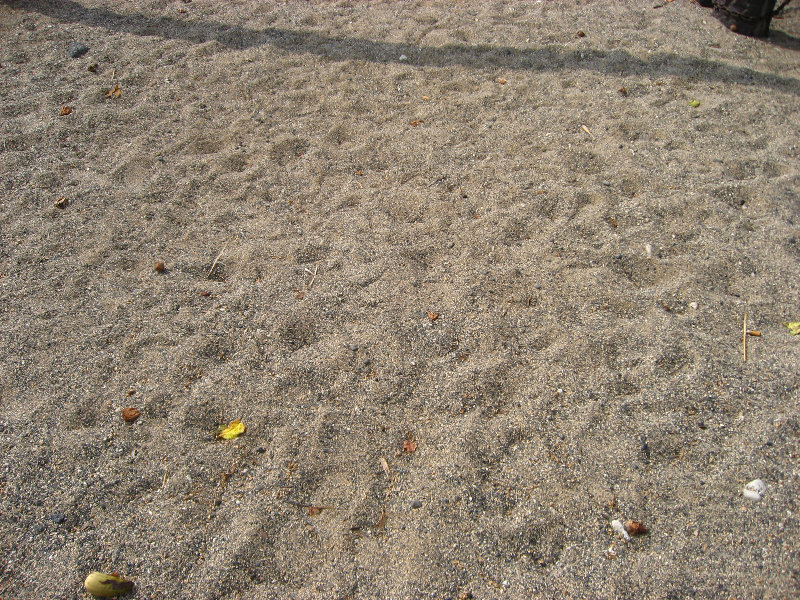 Kekaha-Kai-State-Park-Kona-Coast-Big-Island-Hawaii-041