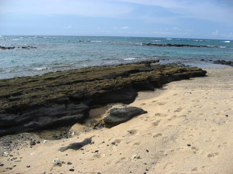 Kekaha-Kai-State-Park-Kona-Coast-Big-Island-Hawaii-051