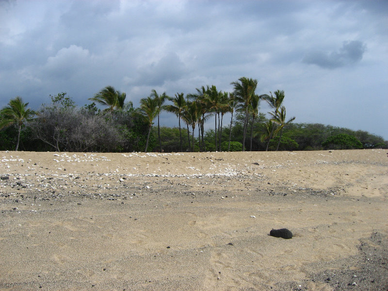 Kekaha-Kai-State-Park-Kona-Coast-Big-Island-Hawaii-058