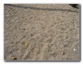 Kekaha-Kai-State-Park-Kona-Coast-Big-Island-Hawaii-041