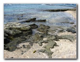 Kekaha-Kai-State-Park-Kona-Coast-Big-Island-Hawaii-054