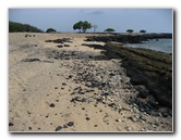 Kekaha-Kai-State-Park-Kona-Coast-Big-Island-Hawaii-059