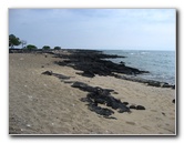 Kekaha-Kai-State-Park-Kona-Coast-Big-Island-Hawaii-060