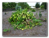 Kona-Comfort-Vacation-Rental-Kailua-Kona-Big-Island-Hawaii-019