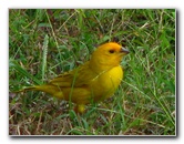 Kona-Comfort-Vacation-Rental-Kailua-Kona-Big-Island-Hawaii-027