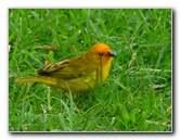 Kona-Comfort-Vacation-Rental-Kailua-Kona-Big-Island-Hawaii-029