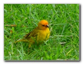 Kona-Comfort-Vacation-Rental-Kailua-Kona-Big-Island-Hawaii-030