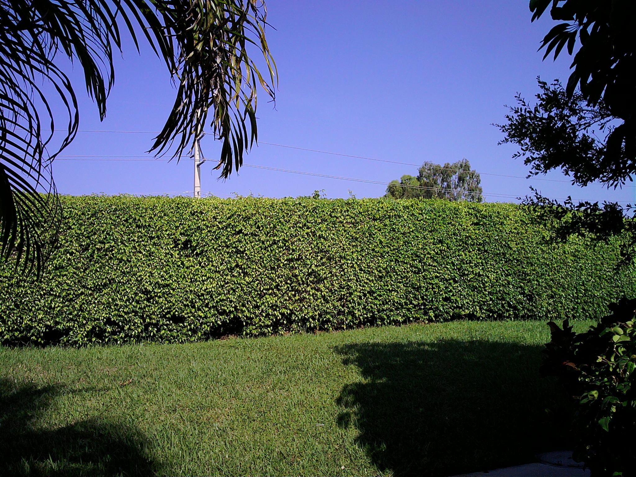 LG-Incite-Review-Camera-Sample-Images-008