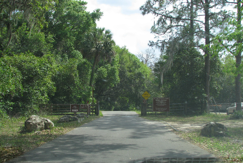 La-Chua-Trail-Paynes-Prairie-Preserve-State-Park-Gainesville-FL-001