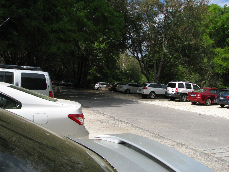 La-Chua-Trail-Paynes-Prairie-Preserve-State-Park-Gainesville-FL-003