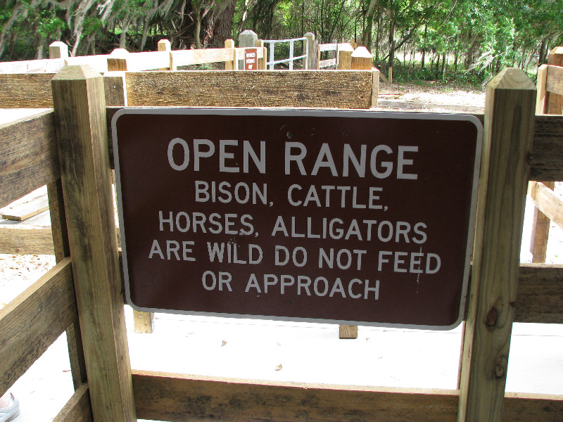 La-Chua-Trail-Paynes-Prairie-Preserve-State-Park-Gainesville-FL-007