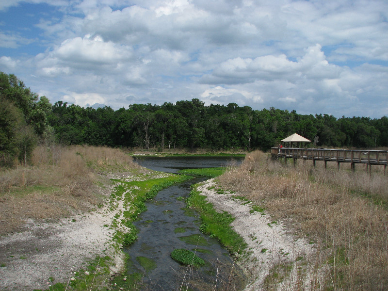 La-Chua-Trail-Paynes-Prairie-Preserve-State-Park-Gainesville-FL-012