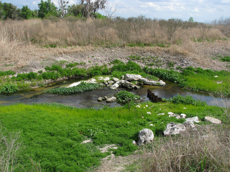 La-Chua-Trail-Paynes-Prairie-Preserve-State-Park-Gainesville-FL-018